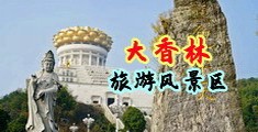 欧美美女肏穴视频中国浙江-绍兴大香林旅游风景区